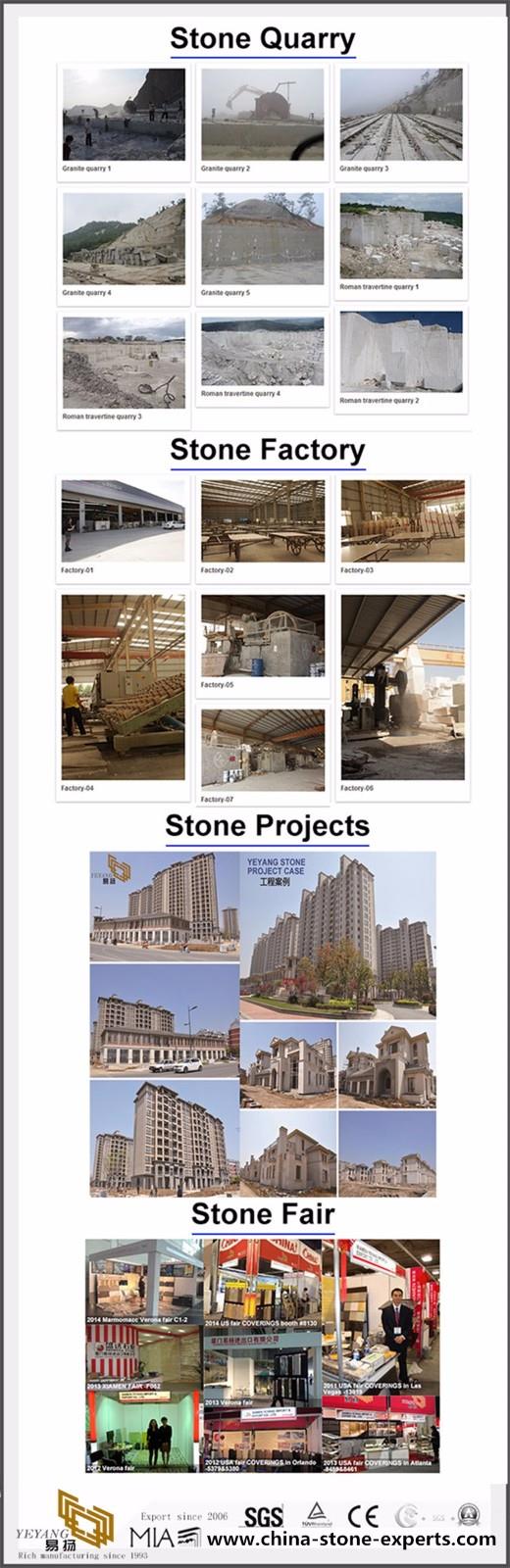 product-1-1 Yeyang-IMFORMATION.jpg