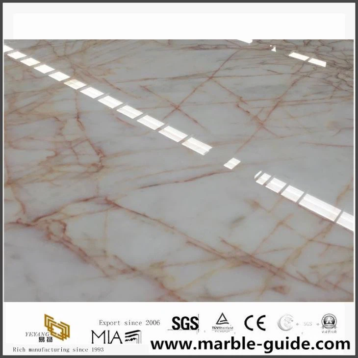 Golden Spider Marble Slabs Price