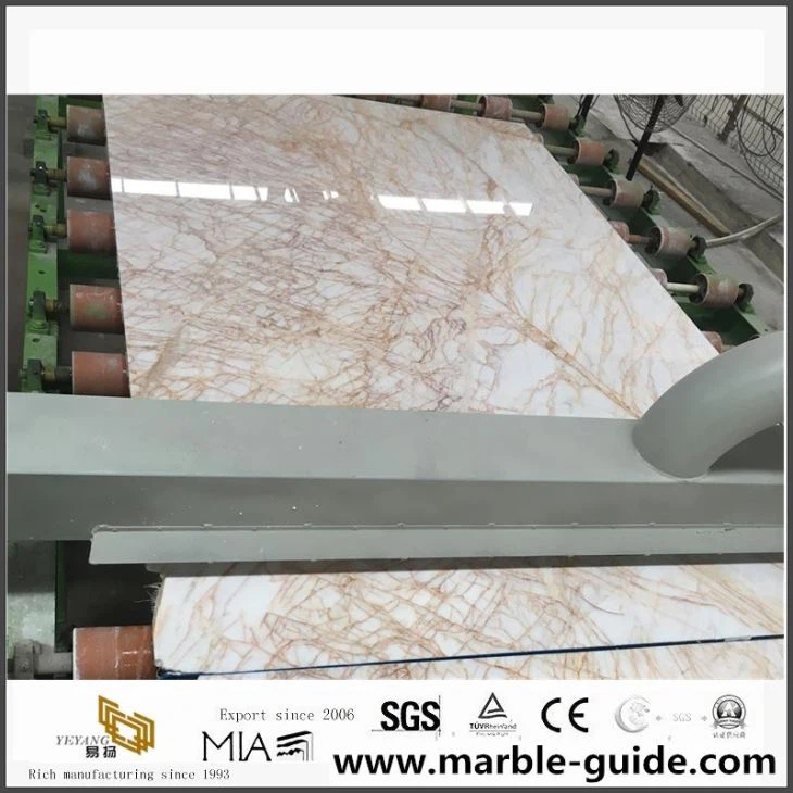 Golden Spider Marble Slabs Price