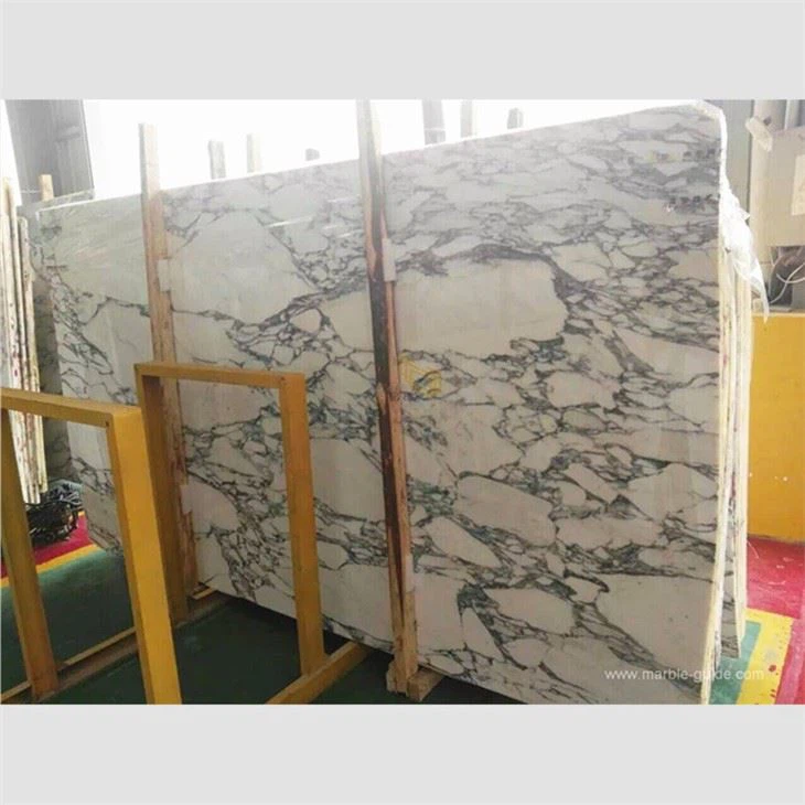 Arabescato White Marble Floor Plan